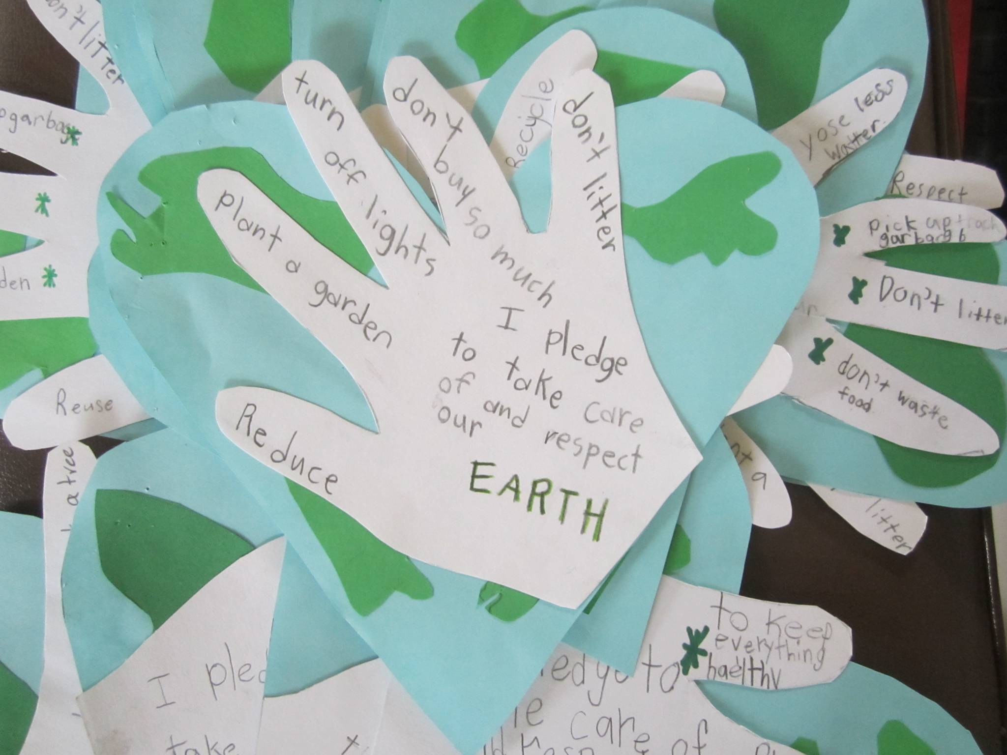 A Pledge To Respect And Take Care Of The Earth Beyond Recycling